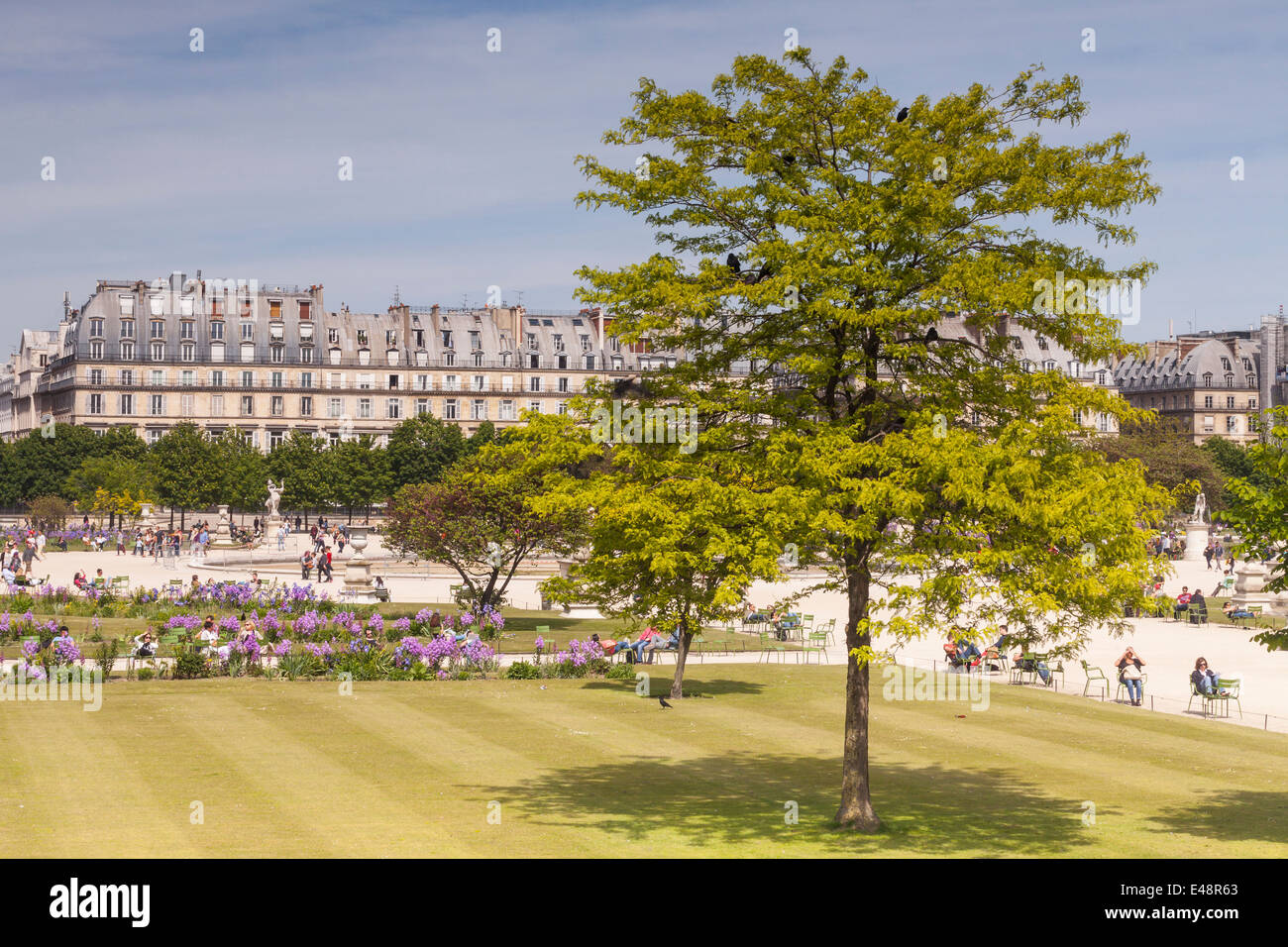 Jardin des Tuileries in der Stadt Paris. Stockfoto