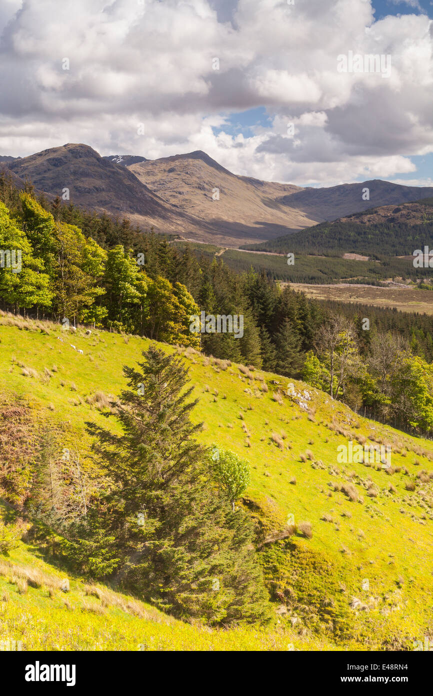 Glen mehr in den schottischen Highlands. Stockfoto