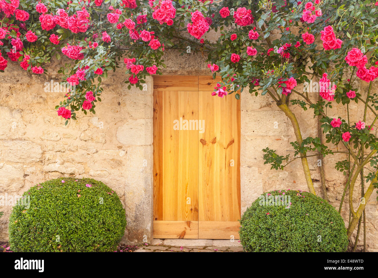 Rosen bedecken ein Haus in dem Dorf Chedigny, Frankreich. Das Dorf hält eine rose Festival jedes Jahr im Mai. Stockfoto