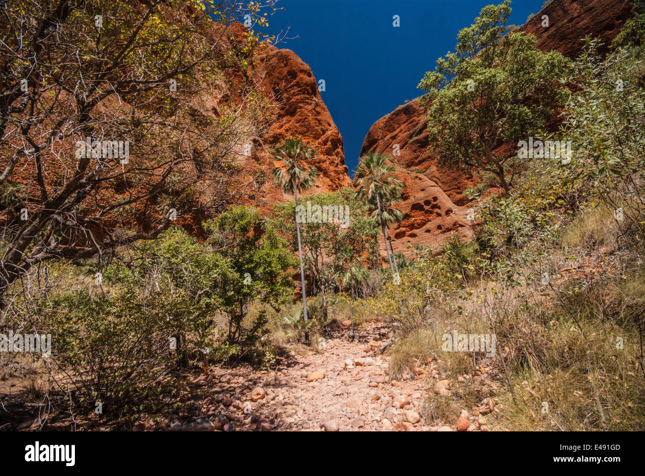 ECHIDNA CHASM, BUNGLE BUNGLES, PURNULULU, NATIONAL, PARK, KIMBERLEY, WESTERN, AUSTRALIEN Stockfoto