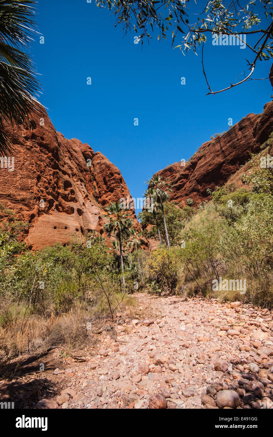 ECHIDNA CHASM, BUNGLE BUNGLES, PURNULULU, NATIONAL, PARK, KIMBERLEY, WESTERN, AUSTRALIEN Stockfoto