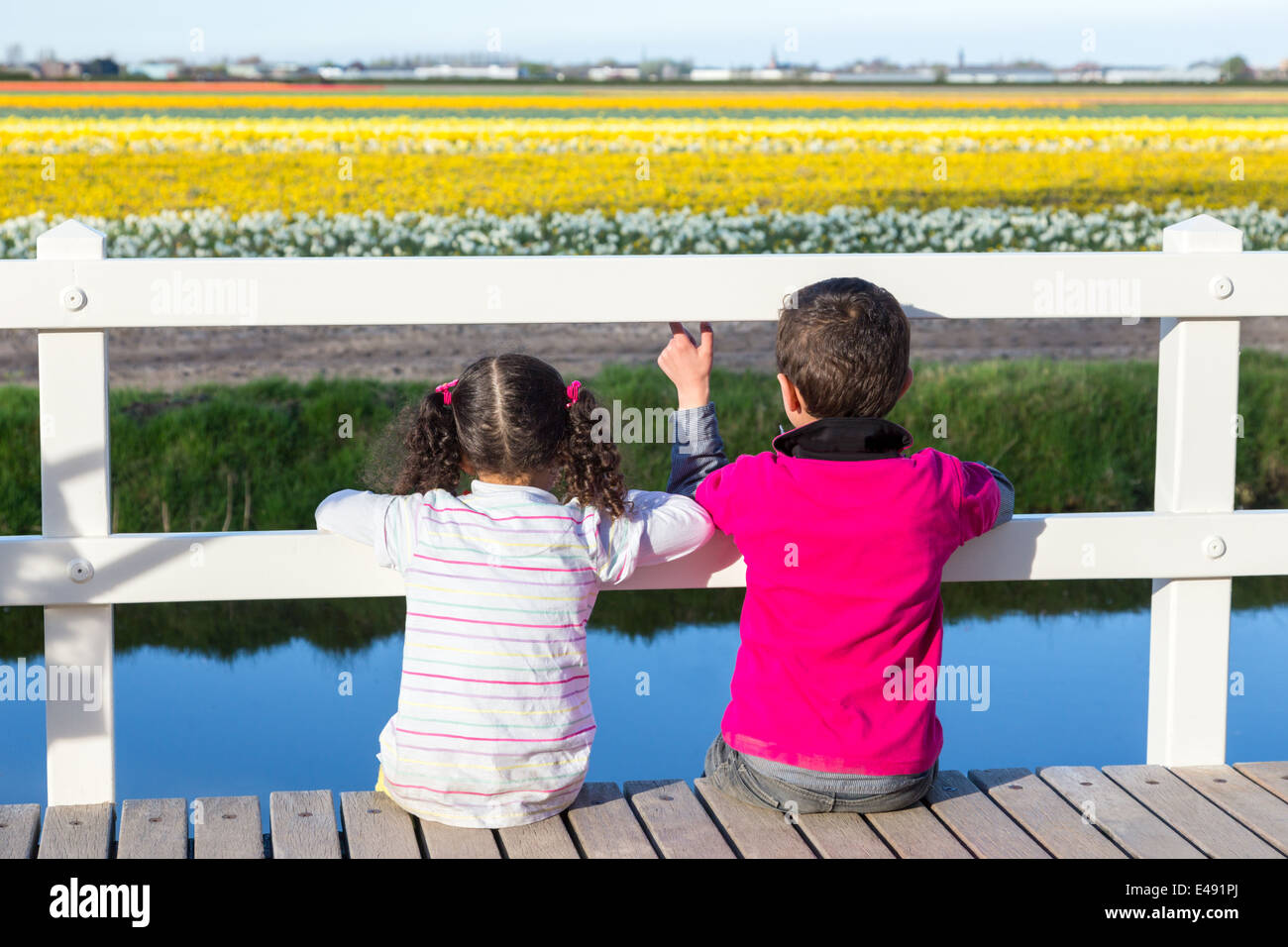 Mädchen und jungen durch Zaun an Blumen Feld suchen Stockfoto