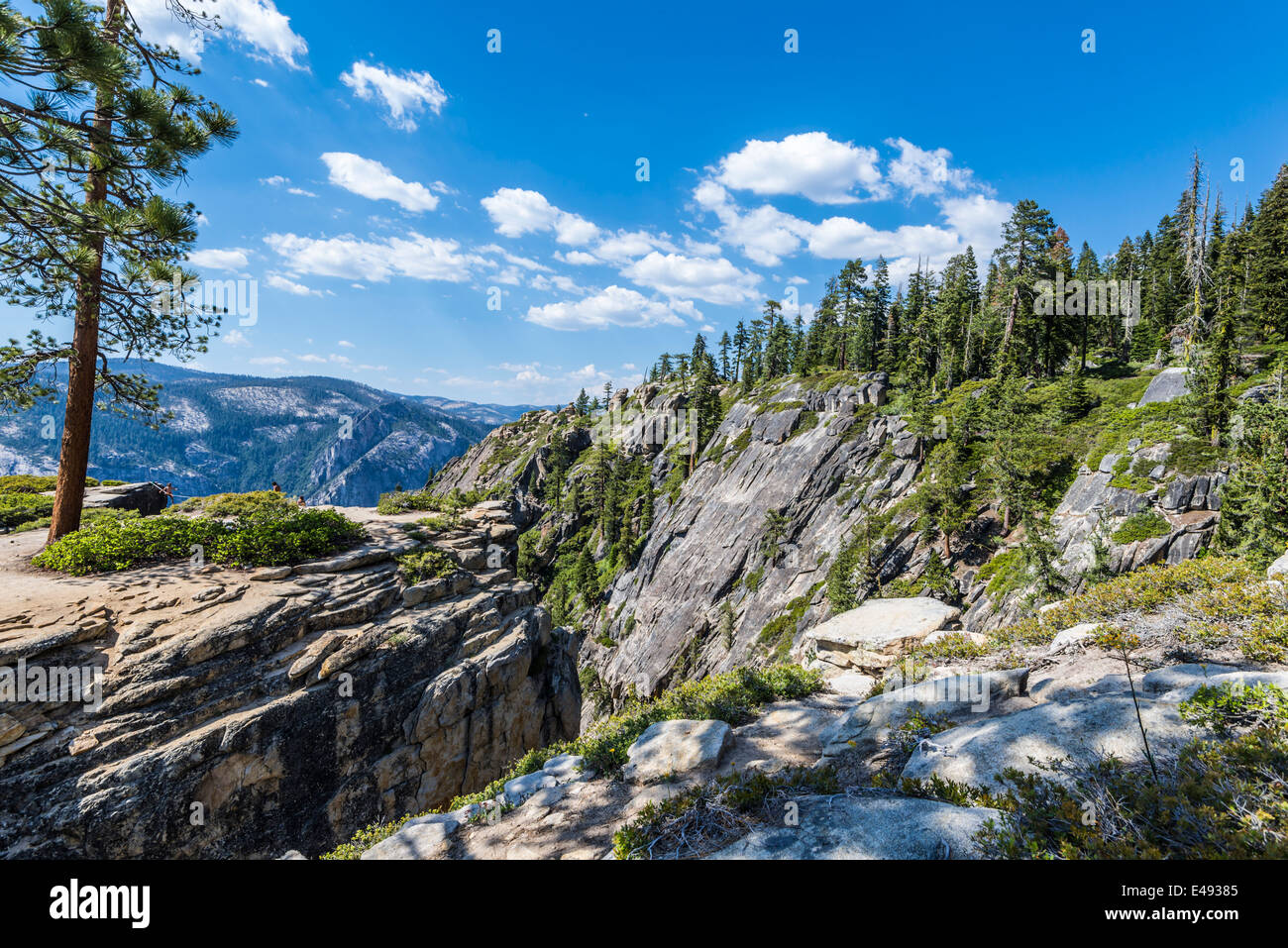 Blick auf Pinien und Granitberge aus Taft Point.  Yosemite Nationalpark, Kalifornien, USA. Stockfoto