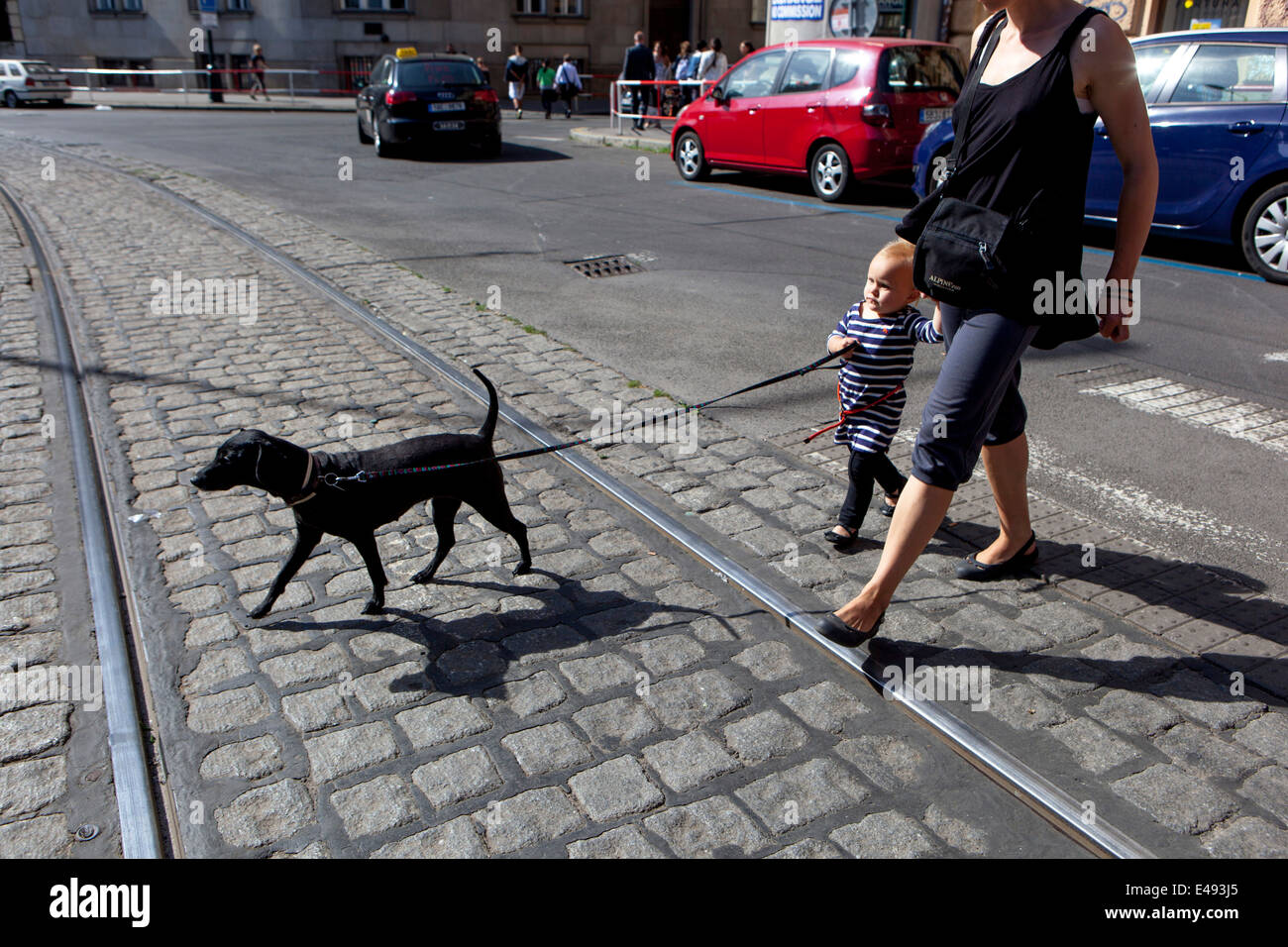 Menschen mit einem Hund an der Leine überqueren die Straße in Prag, Altstadt, Tschechien Stockfoto