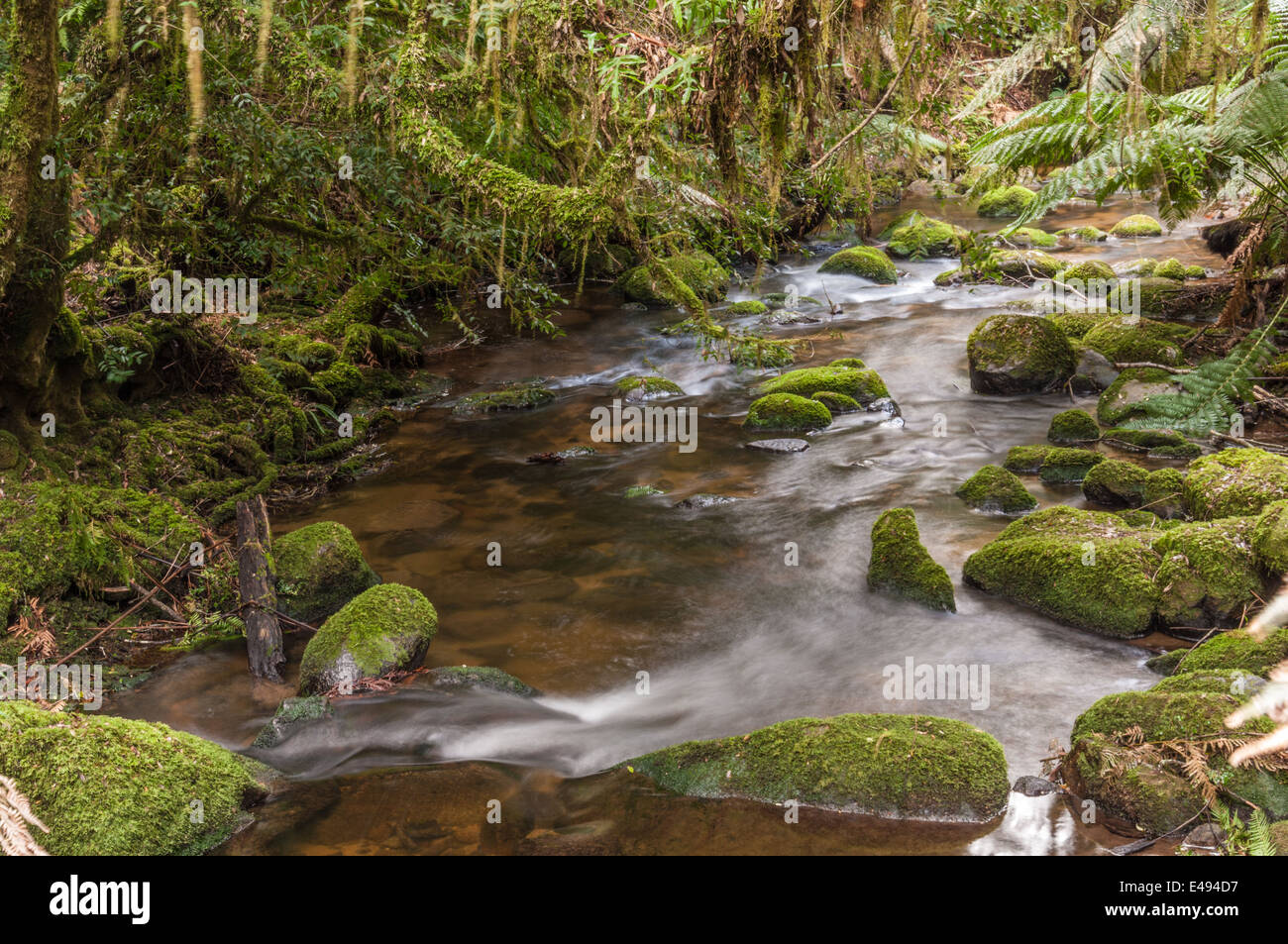 ST. COLUMBA, WASSERFALL, ST. COLUMBA FALLS STATE RESERVE, PYENGANA TAL, TAL, ST HELENS, NORD-OST-TASMANIEN, AUSTRALIEN Stockfoto