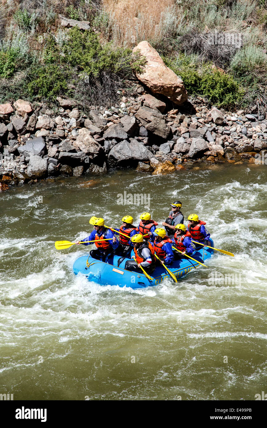 Wildwasser-rafting am Arkansas River, in der Nähe von Canon City, Colorado USA Stockfoto