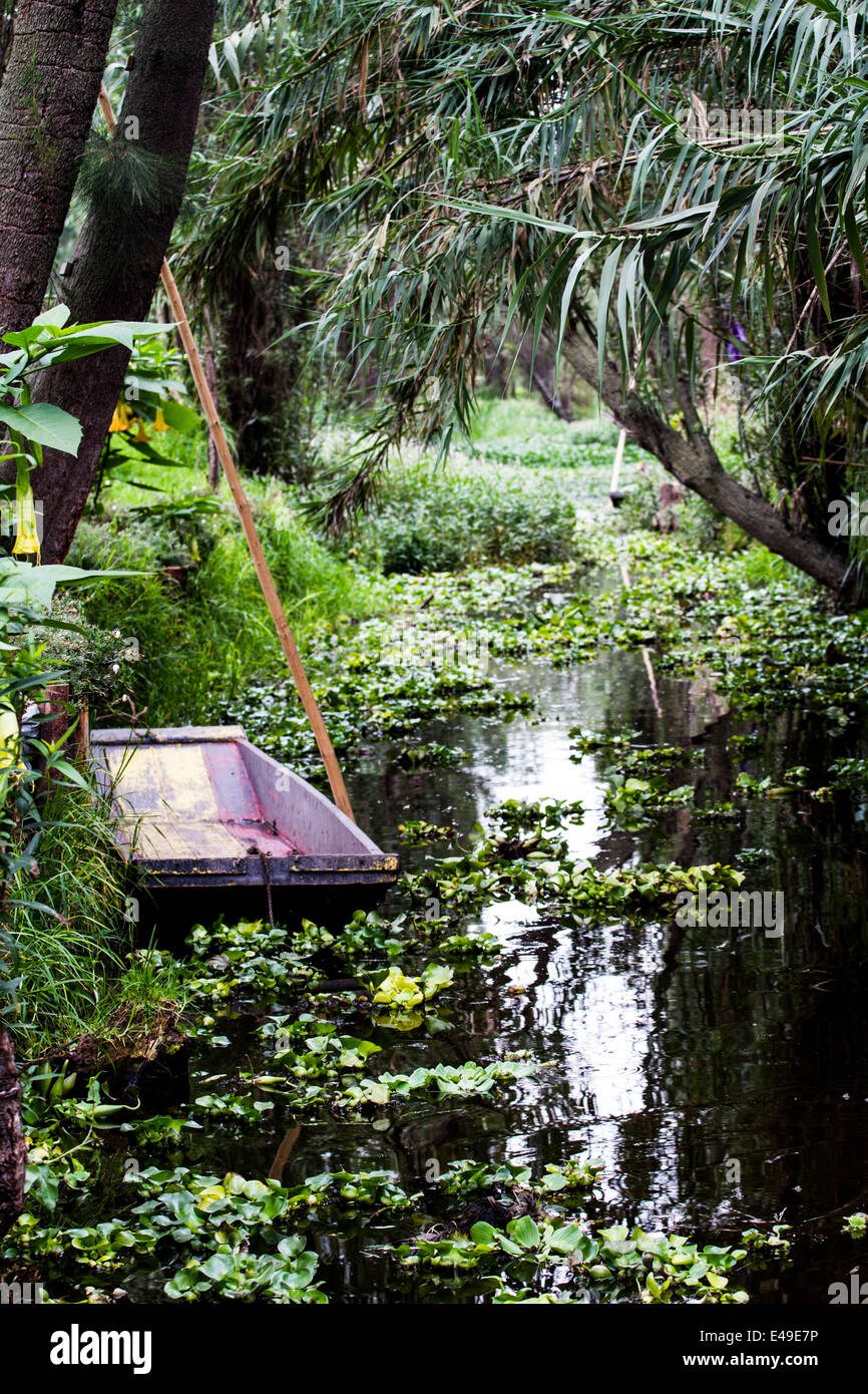 Xochimilco Kanal läuft durch einen dichten Wald Stockfoto