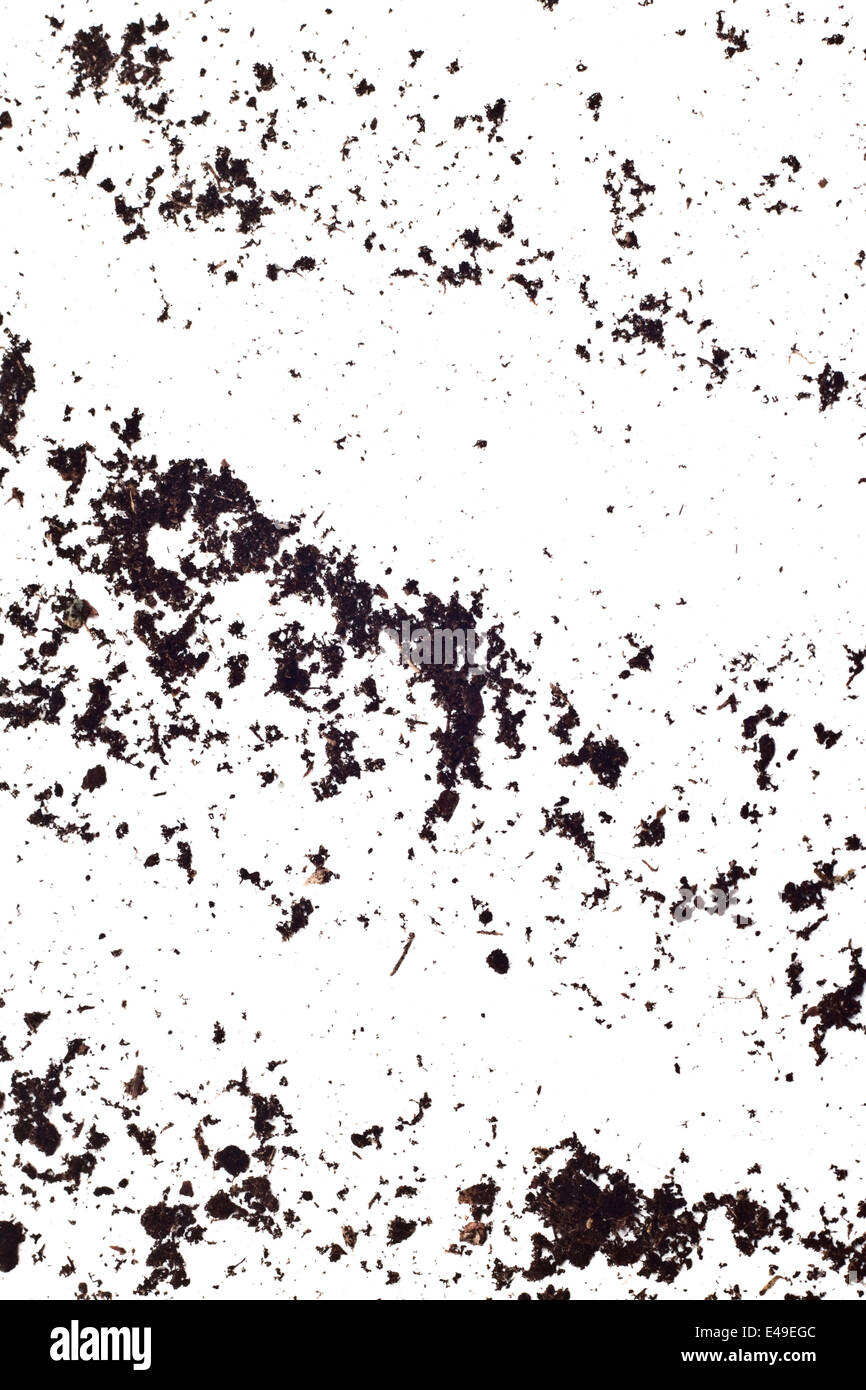 Schmutzige Erde auf weißem Hintergrund. Natürliche Erde-Textur Stockfoto