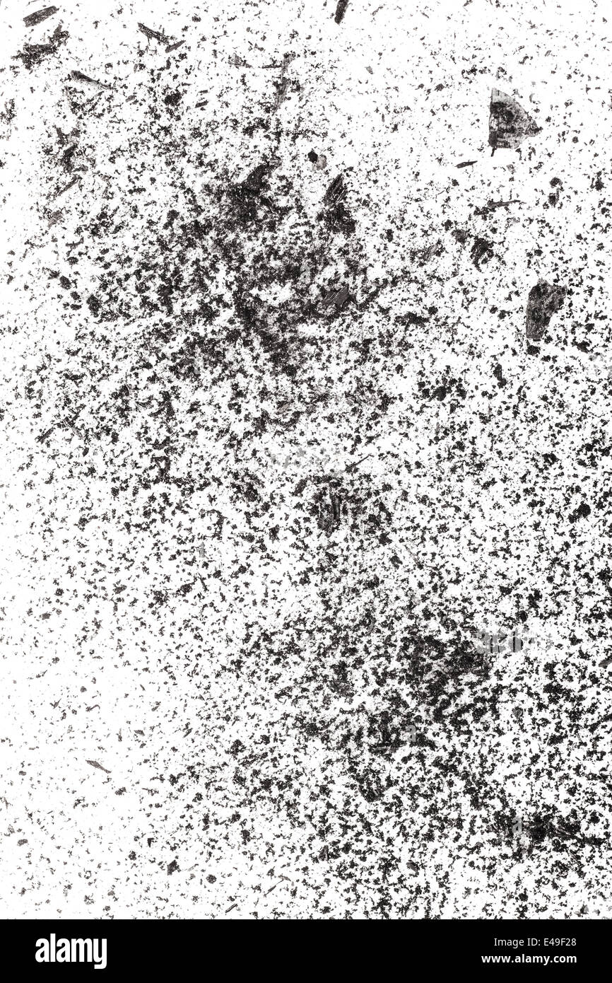 Partikel von Holzkohle auf einem weißen Hintergrund Stockfoto