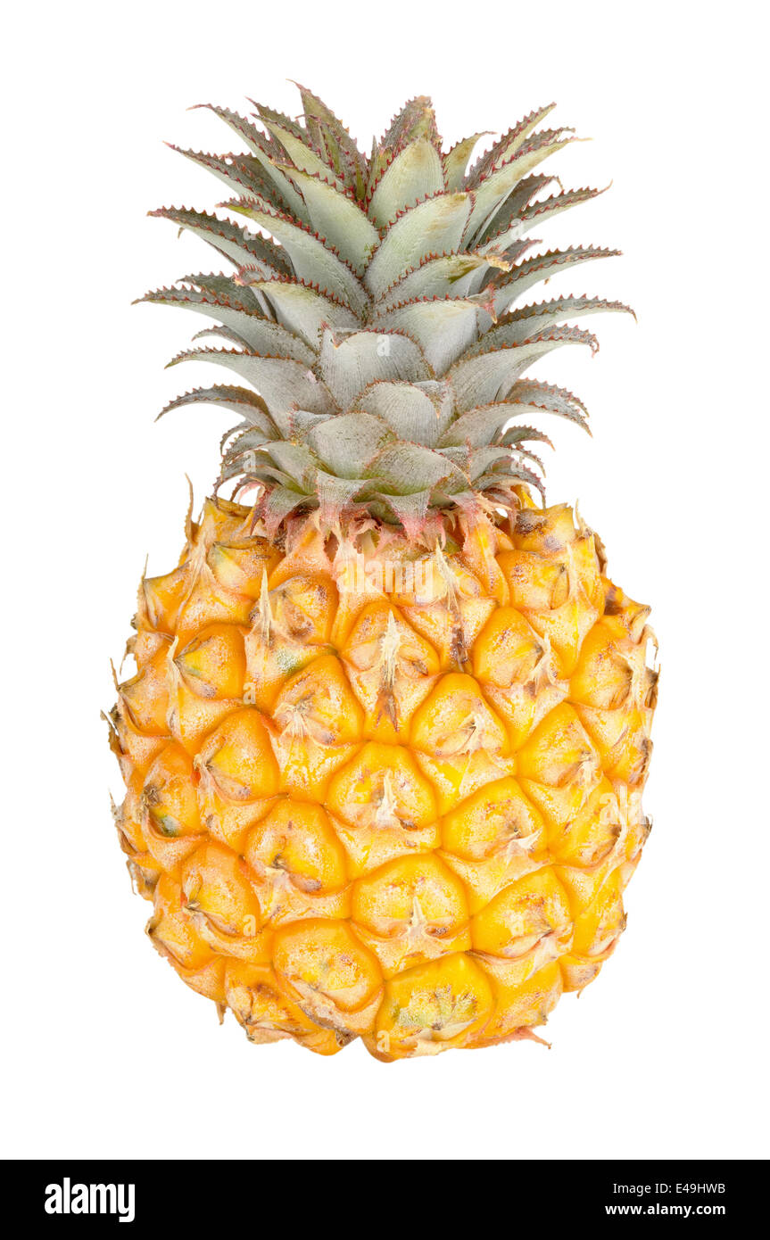 frische Ananas Stockfoto