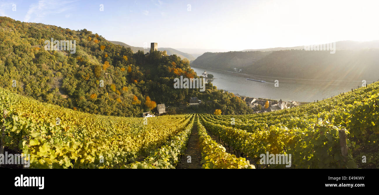 Deutschland, Rheinland-Pfalz, Kaub, Gutenfels Castle mit Weinbergen im Vordergrund Stockfoto