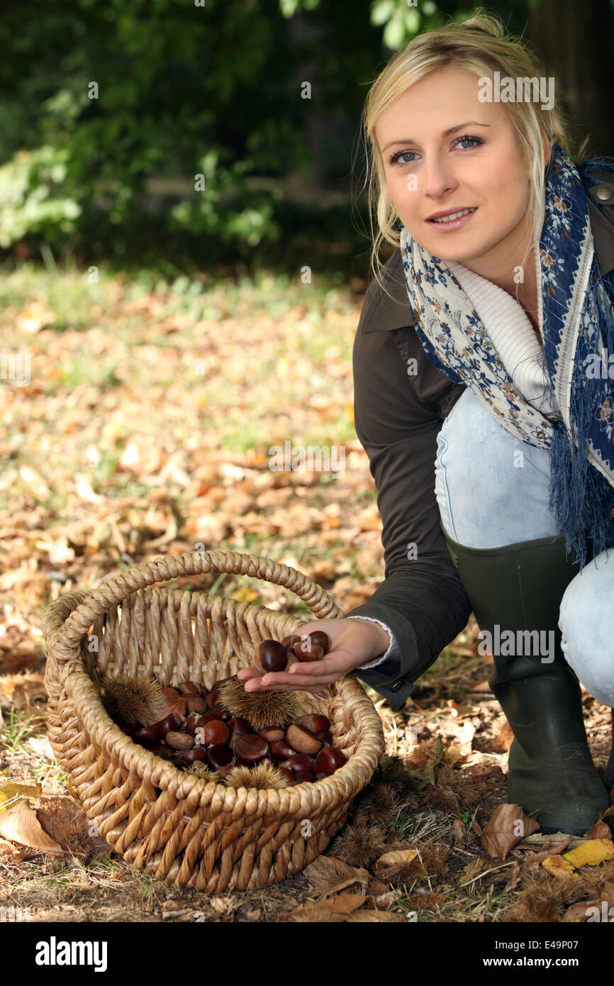Junge, blonde Frau Kastanien sammeln Stockfoto