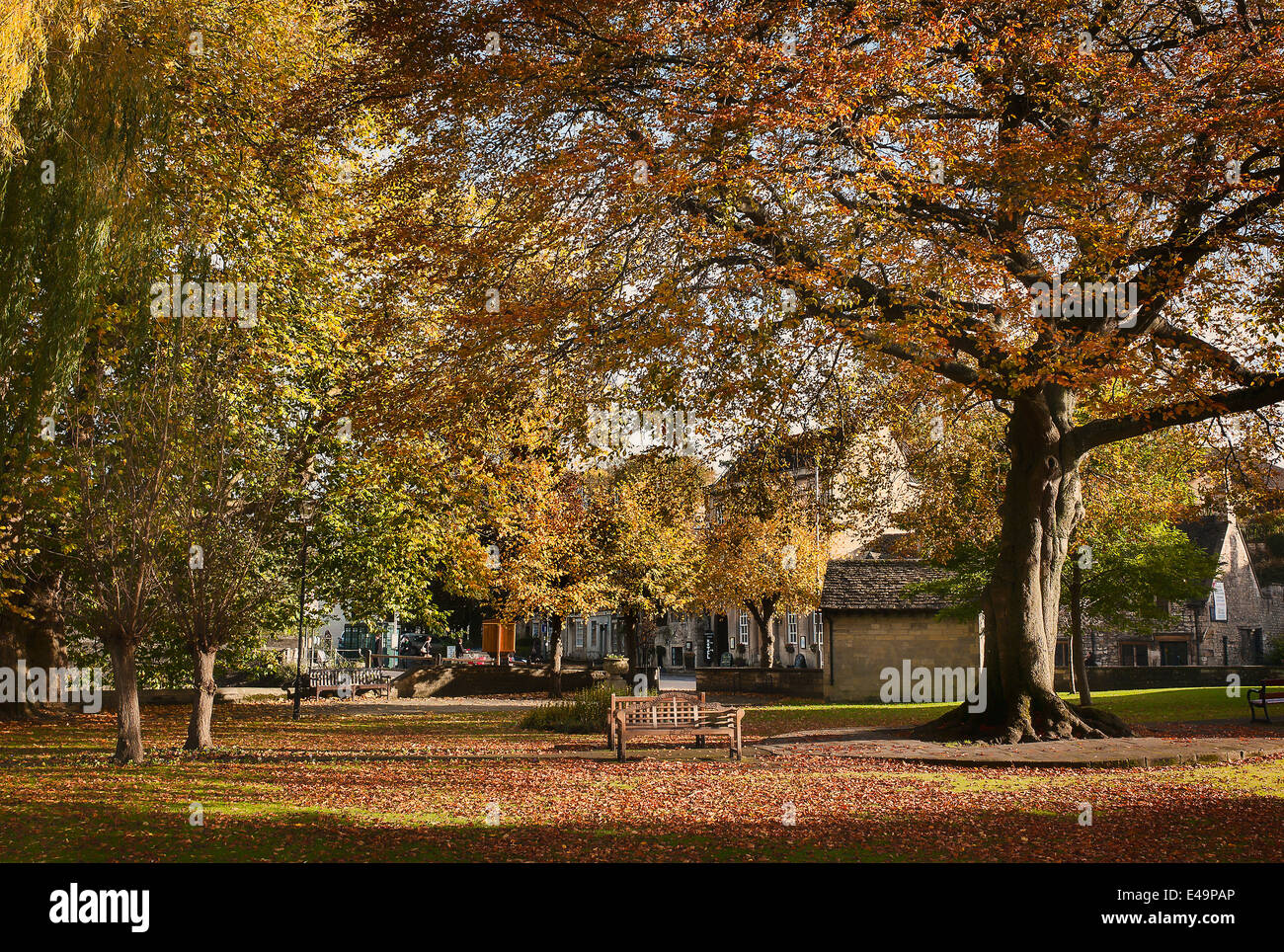Herbst in einem öffentlichen Garten in Bradford auf Avon UK ( Stockfoto