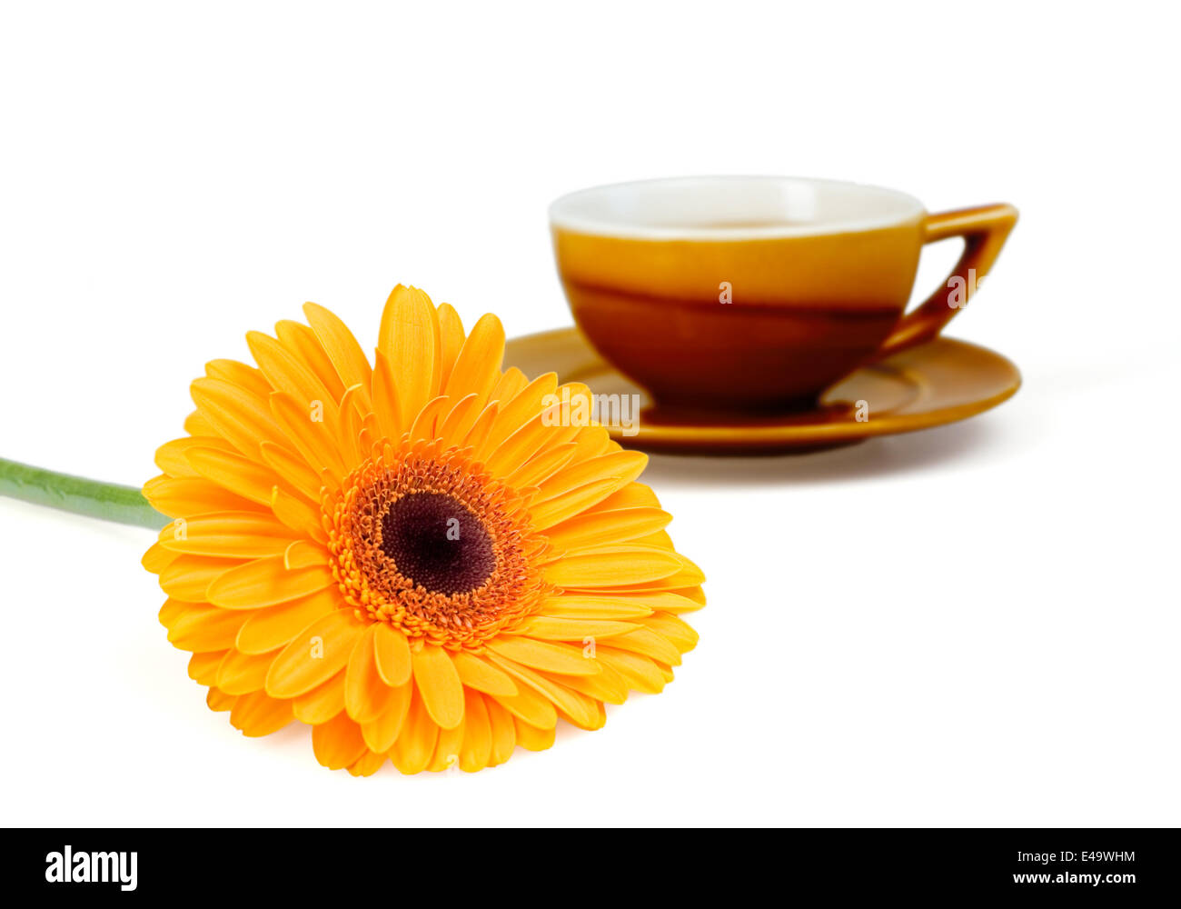 Leuchtend orangefarbene Blume und Tasse Tee Stockfoto