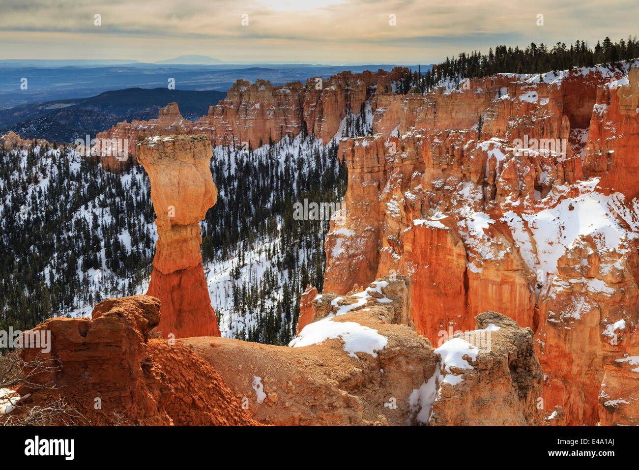 Kopflastig Hoodoo, Pinien und Felsen mit Schnee und ein bewölkter Himmel, Agua Canyon, Bryce-Canyon-Nationalpark, Utah, USA Stockfoto