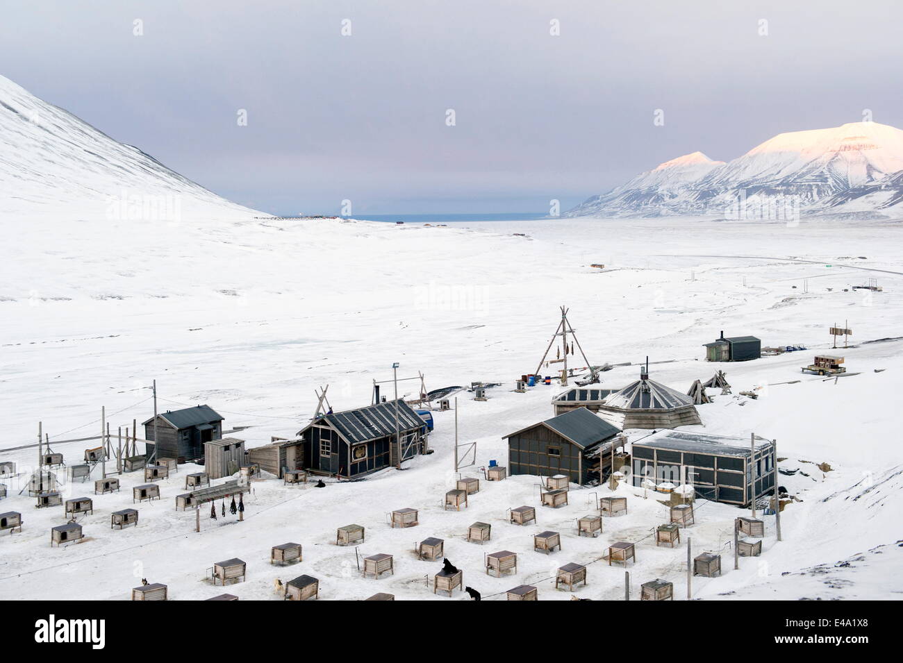 Husky Schlittenhunde, wo jeder Hund seinen eigenen Zwinger angehoben über Boden, Spitzbergen, Arktis, Norwegen hat Stockfoto