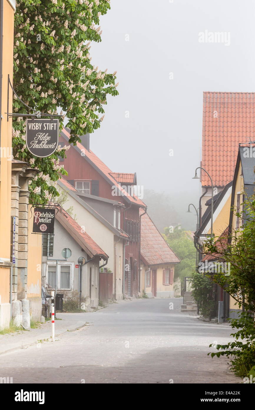 Hütten und Kopfsteinpflaster in der Stadt Visby, UNESCO-Weltkulturerbe, Insel Gotland, Schweden, Skandinavien, Europa Stockfoto