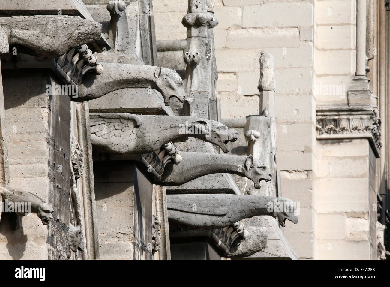 Wasserspeier, Kathedrale Notre Dame de Paris, Paris, Frankreich, Europa Stockfoto