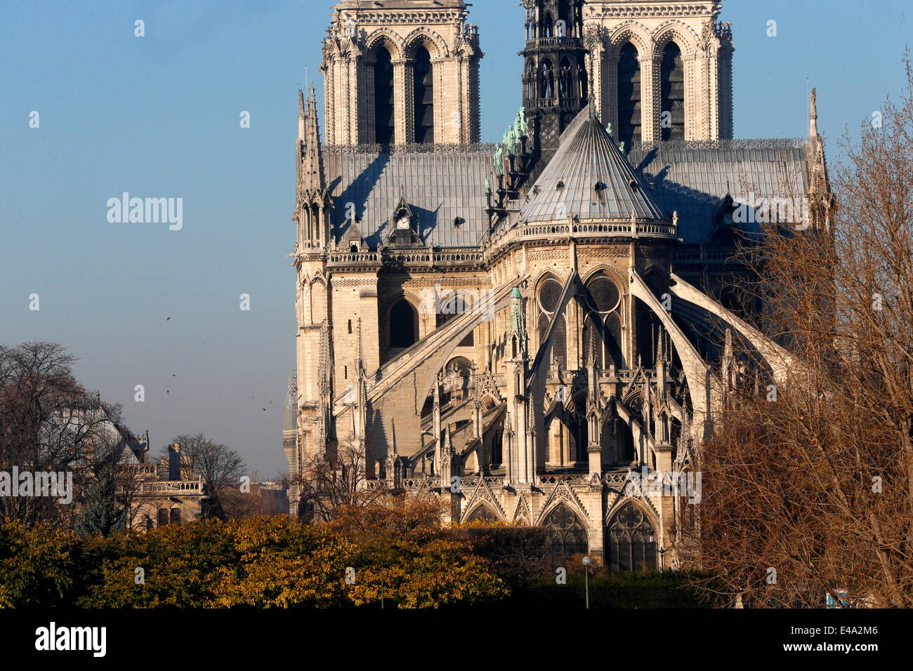 Stirnseite der Notre Dame Kathedrale, Paris, Frankreich, Europa Stockfoto