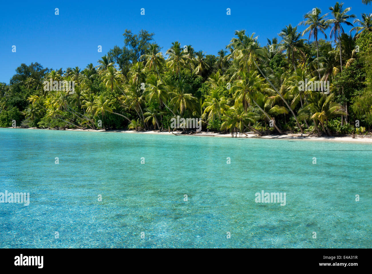 Mikronesien, Palau, Peleliu, Lagune mit Palmen gesäumten Strand Stockfoto