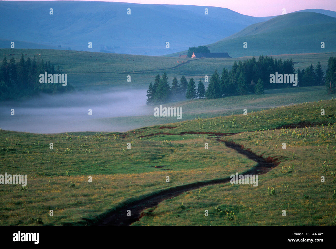 Nebliger Morgen im Massif Central Mountain Region, Cezallier, Auvergne, Frankreich, Europa. Stockfoto