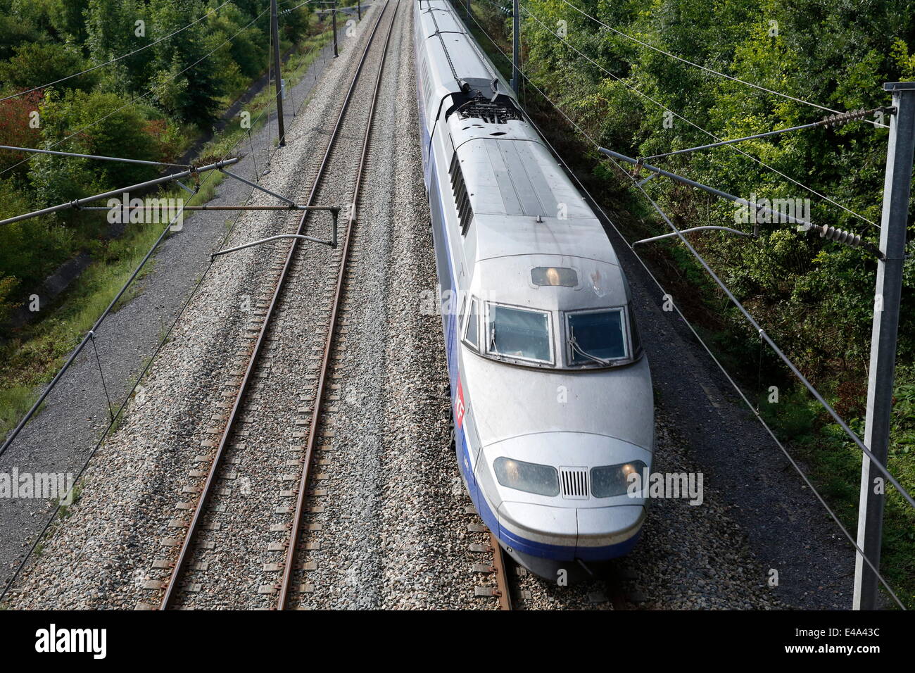 Hochgeschwindigkeitszug, Pas-de-Calais, Frankreich, Europa Stockfoto