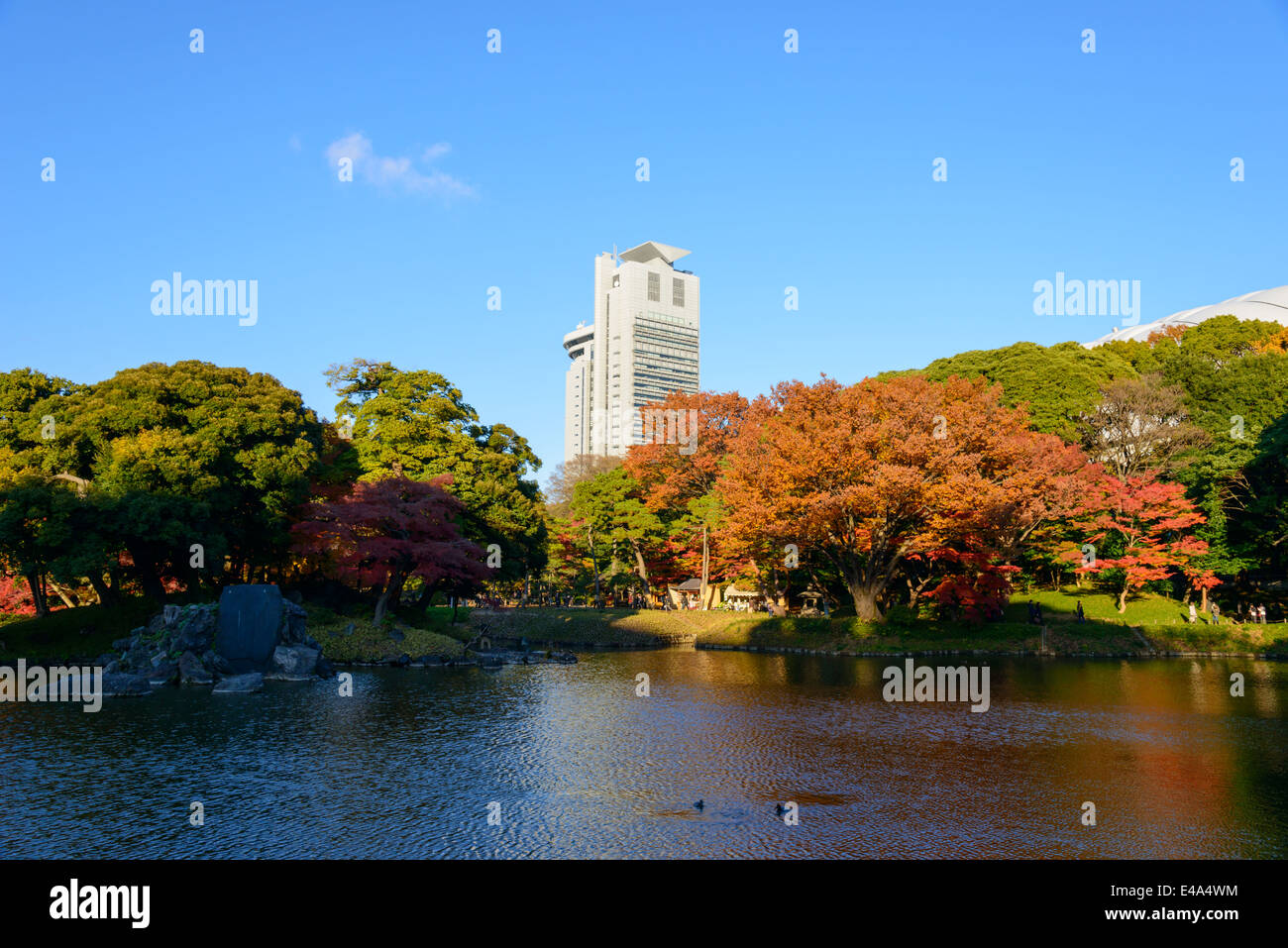 Koishikawa Korakuen-Garten im Herbst in Tokio Stockfoto