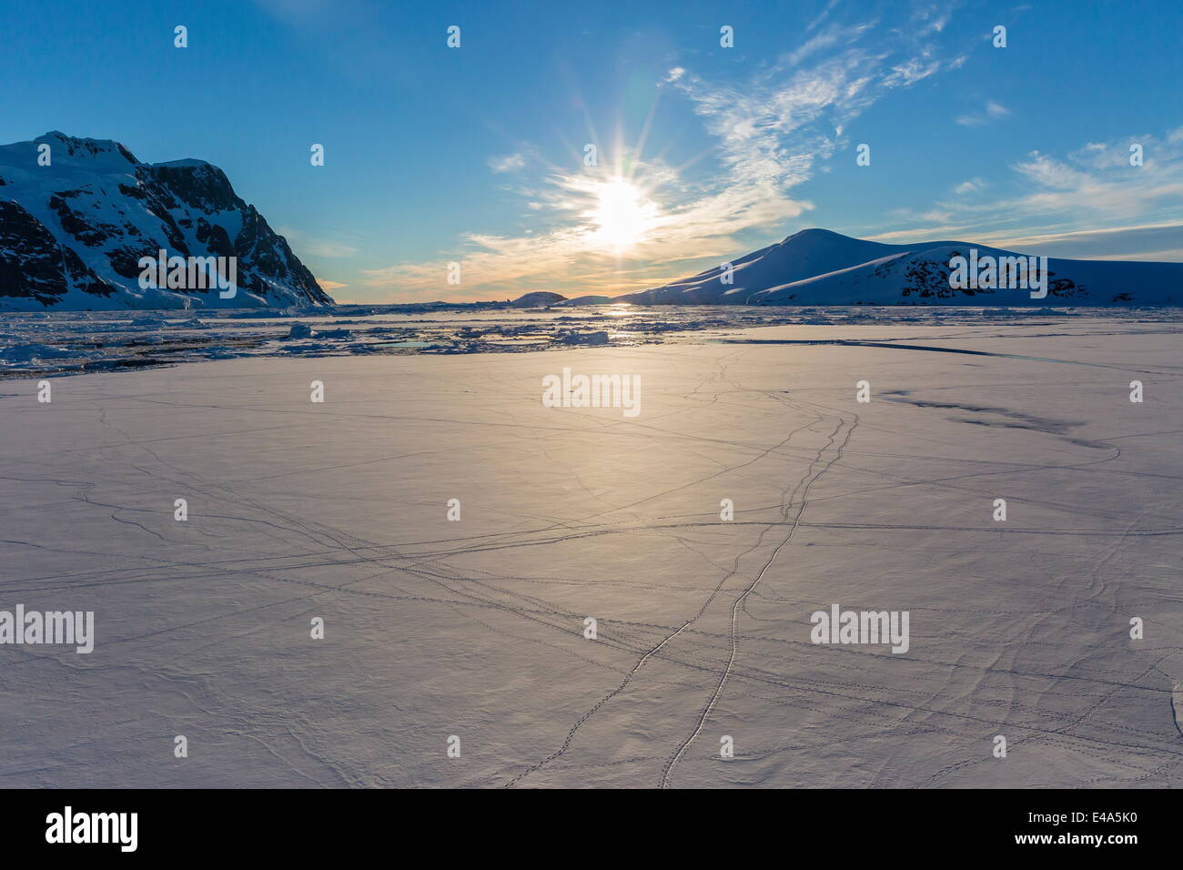 Pinguin-Spuren im ersten Jahr Meer Eis in den Polarregionen Lemaire-Kanal, Antarktis, Stockfoto