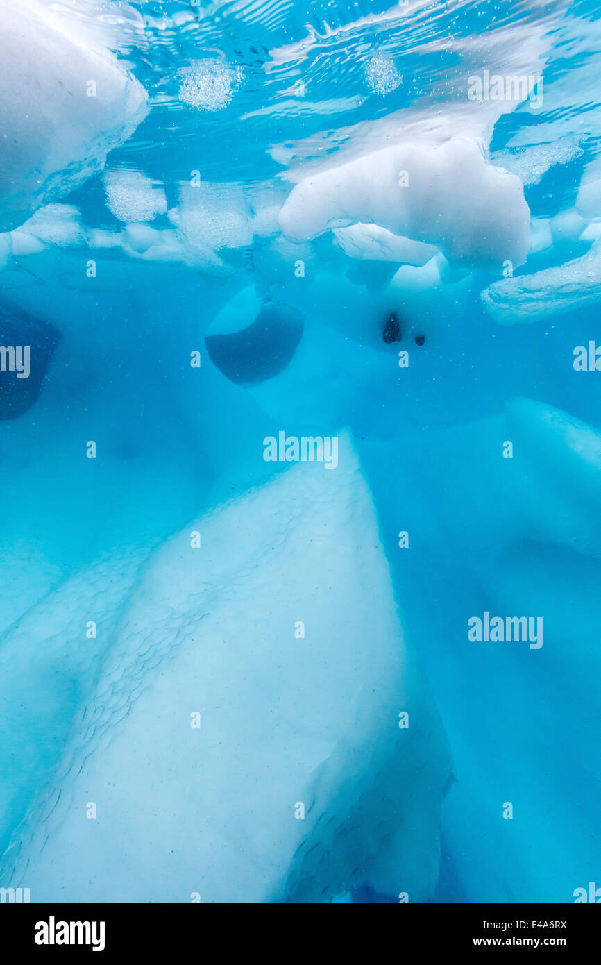 Unterwasser-Blick von Gletschereis in Orne Harbor, Antarktis, Polarregionen Stockfoto