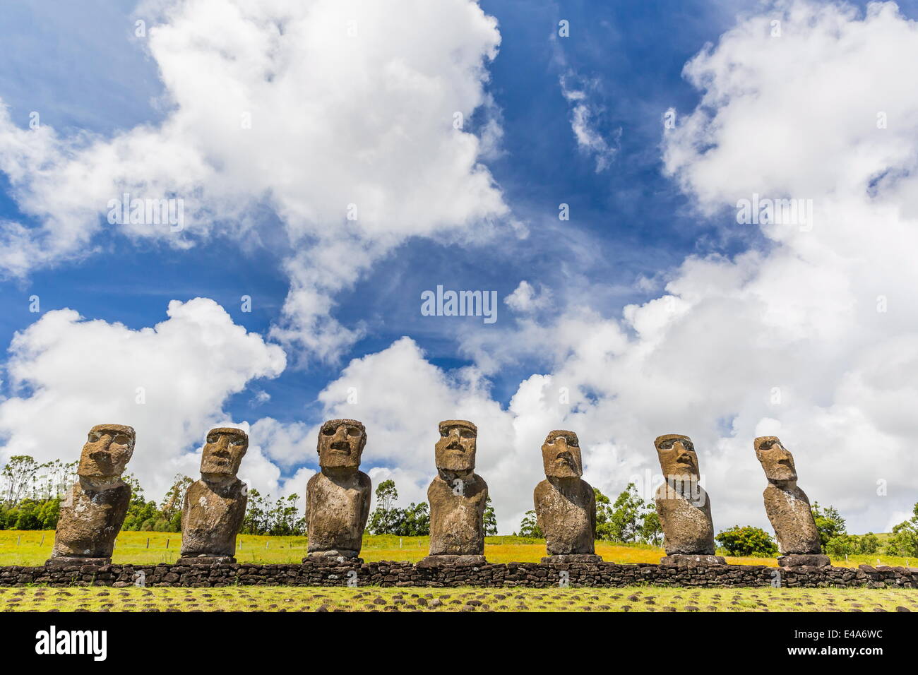 Sieben Moais am Ahu Akivi, der erste restaurierte Altar, Nationalpark Rapa Nui, UNESCO, Ostern Insel (Isla de Pascua), Chile Stockfoto