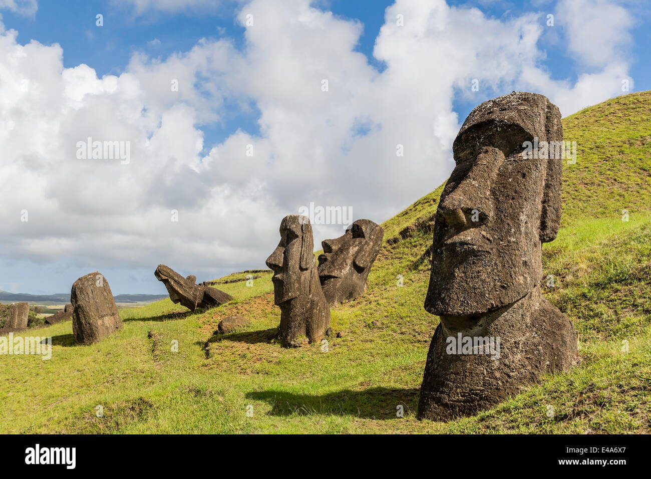 Moai Skulpturen in verschiedenen Stadien der Fertigstellung am Rano Raraku, Nationalpark Rapa Nui, UNESCO, Osterinsel, Chile Stockfoto