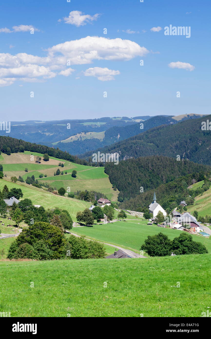 Hofsgrund, Schauinsland Berg, Black Forest, Baden-Württemberg, Deutschland, Europa Stockfoto