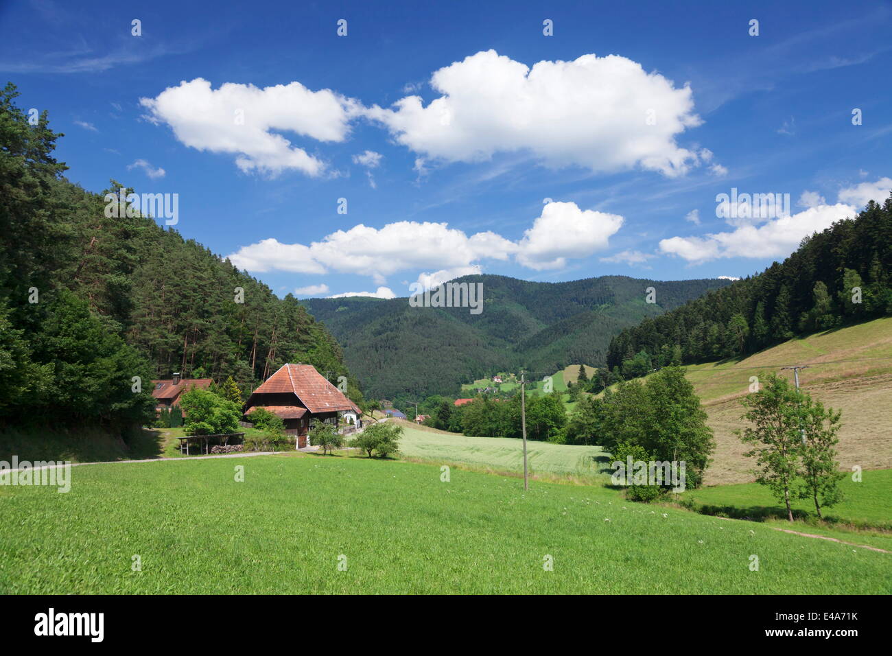 Schwarzwaldhaus, Gutachtal Tal, Schwarzwald, Baden-Württemberg, Deutschland, Europa Stockfoto