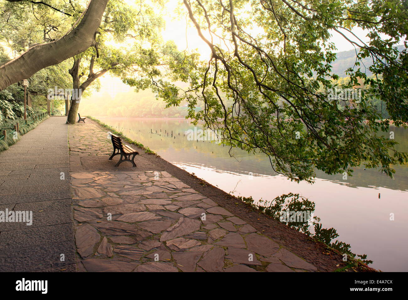 Bank unter Baumkronen am Ufer der Westsee in Hangzhou, Zhejiang, China, Asien Stockfoto