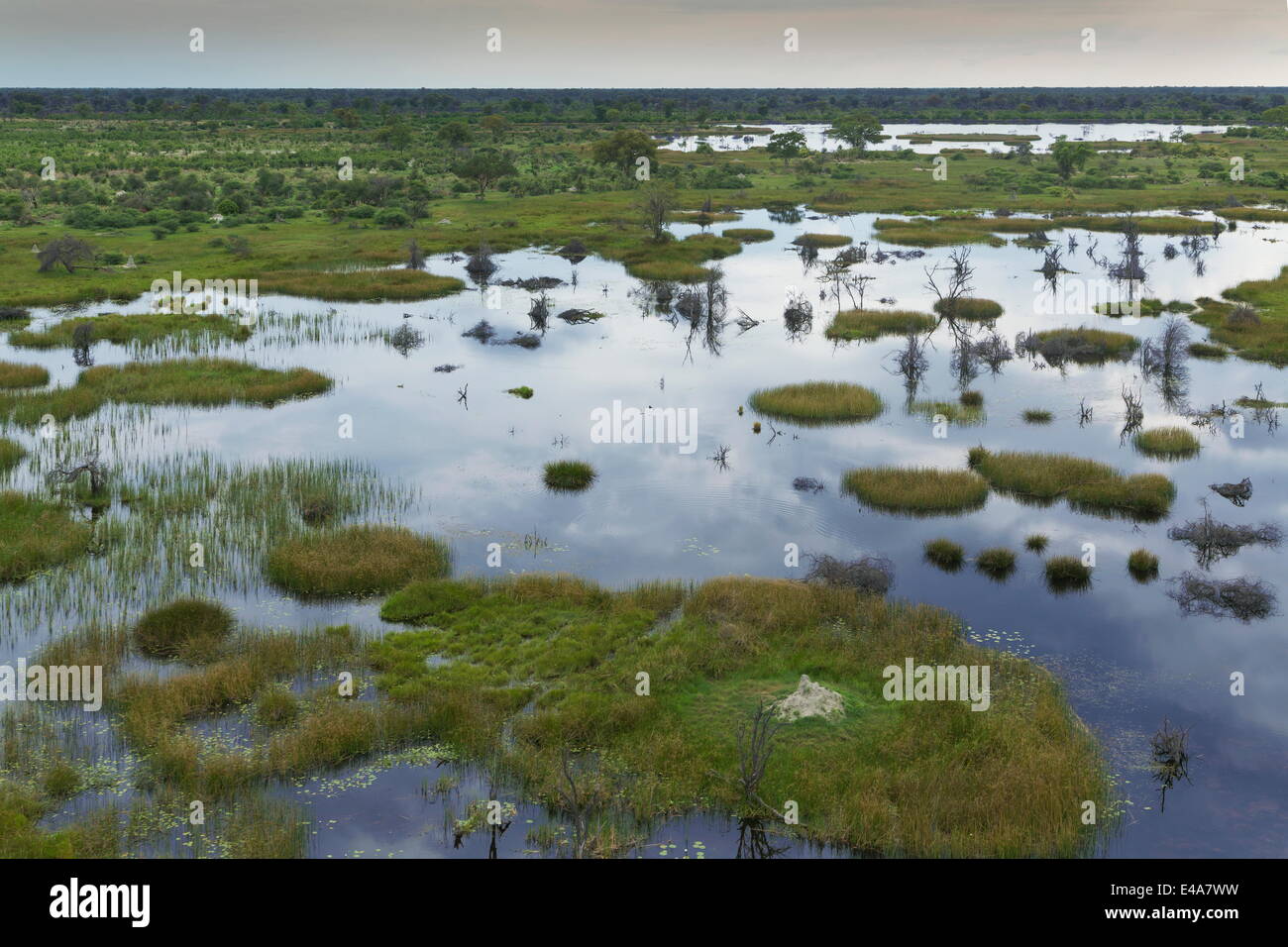 Okavango Delta, Botswana, Afrika Stockfoto