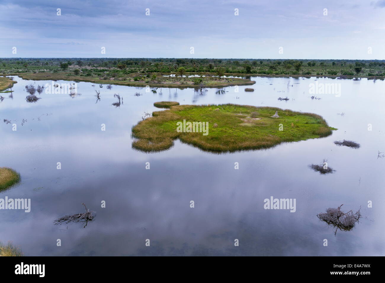 Okavango Delta, Botswana, Afrika Stockfoto