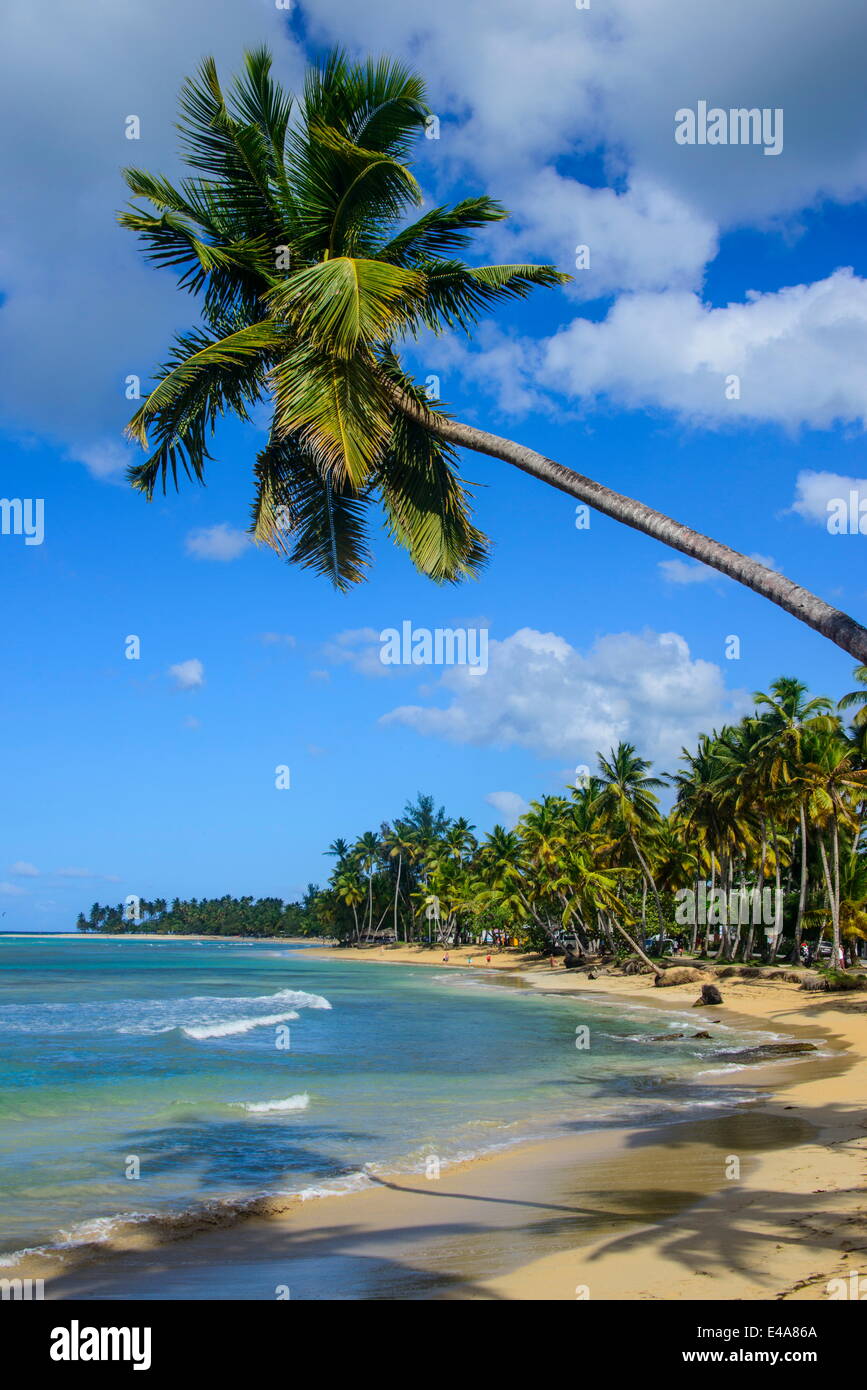 Casa Blanca Strand, Las Terrenas, Dominikanische Republik, Karibik, Karibik, Mittelamerika Stockfoto