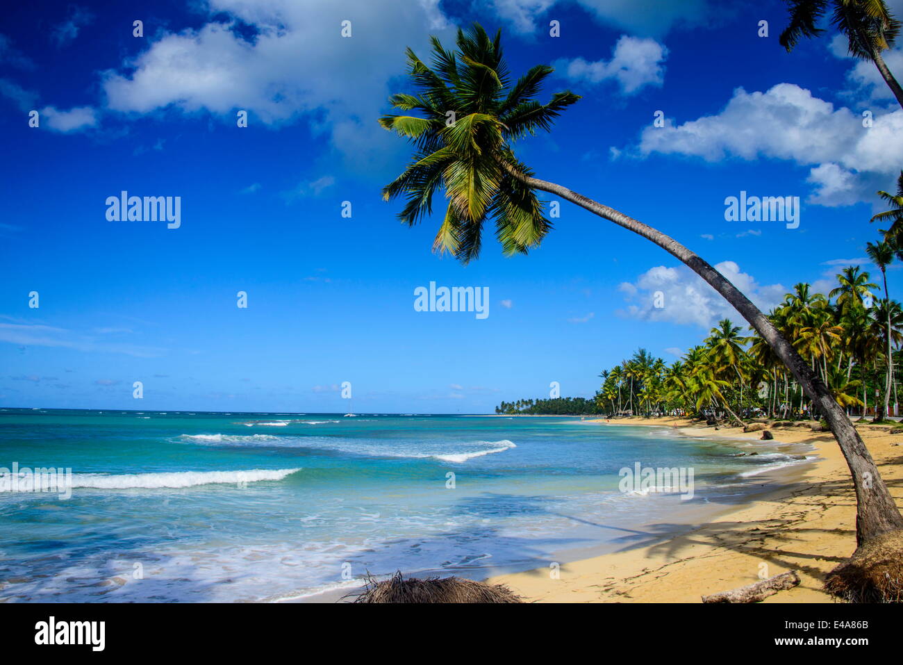 Casa Blanca Strand, Las Terrenas, Dominikanische Republik, Karibik, Karibik, Mittelamerika Stockfoto