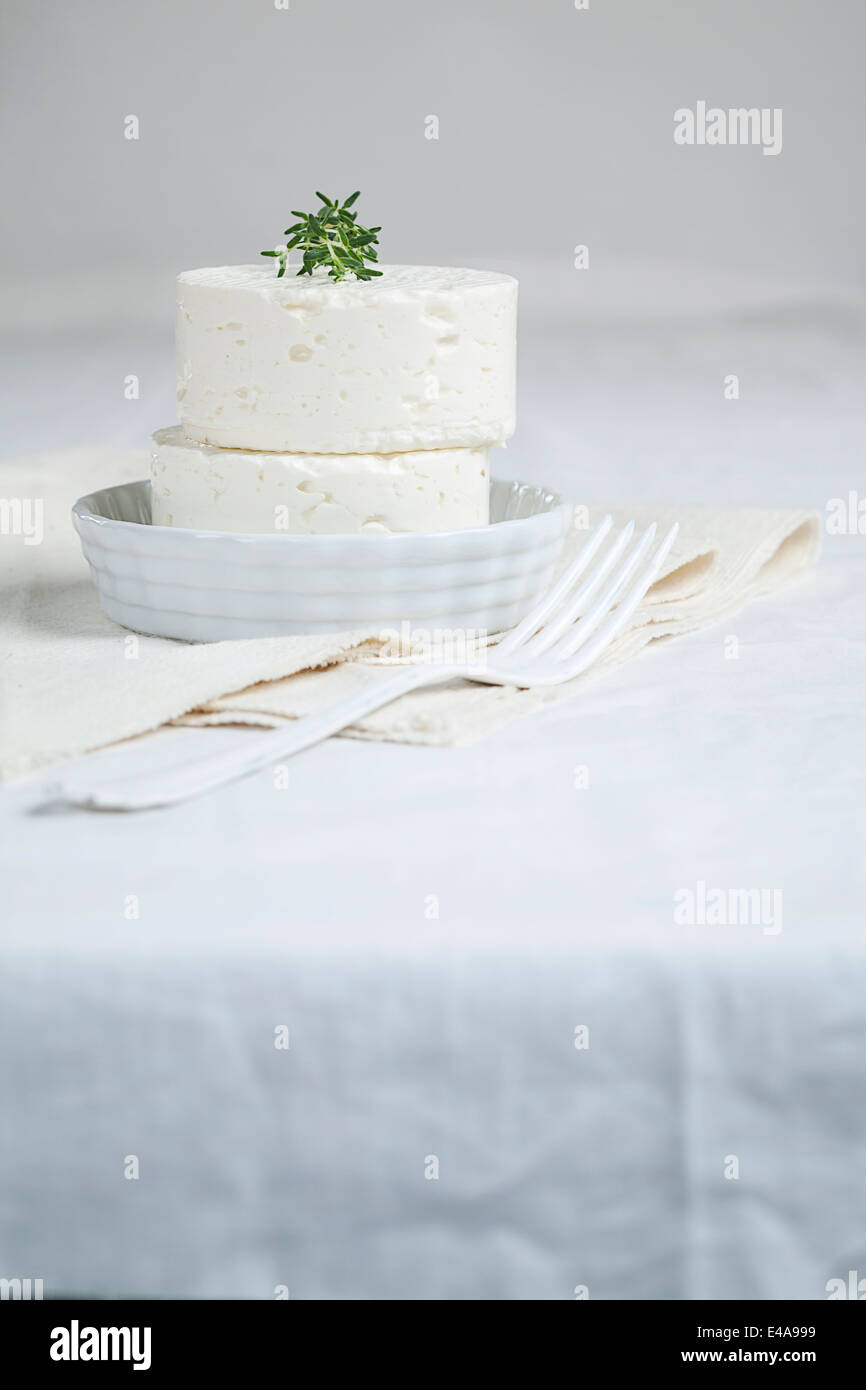 Zwei Stücke des bulgarischen "Hirten Käse" aus Schaf und Kuh Milch garniert mit Zweig Thymian Stockfoto