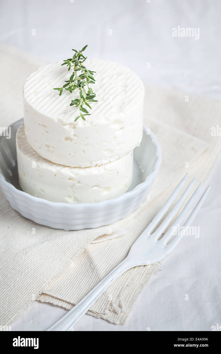 Zwei Stücke des bulgarischen "Hirten Käse" aus Schaf und Kuh Milch garniert mit Zweig Thymian Stockfoto