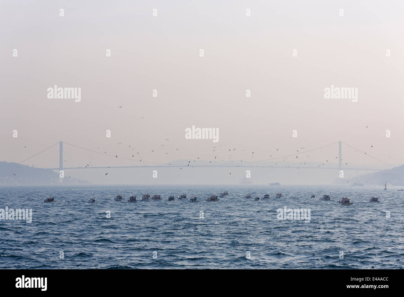 Türkei, Istanbul, Angelboote/Fischerboote am Bosporus Stockfoto