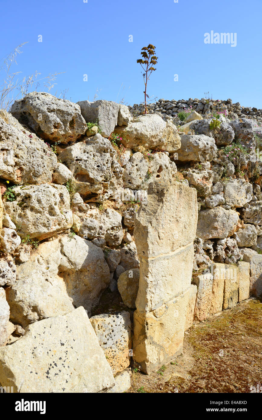 Tempel des Ġgantija, Ix Xagħra, Gozo (Ghawdex), Gozo und Comino Bezirk, Gozo Region, Republik Malta Stockfoto