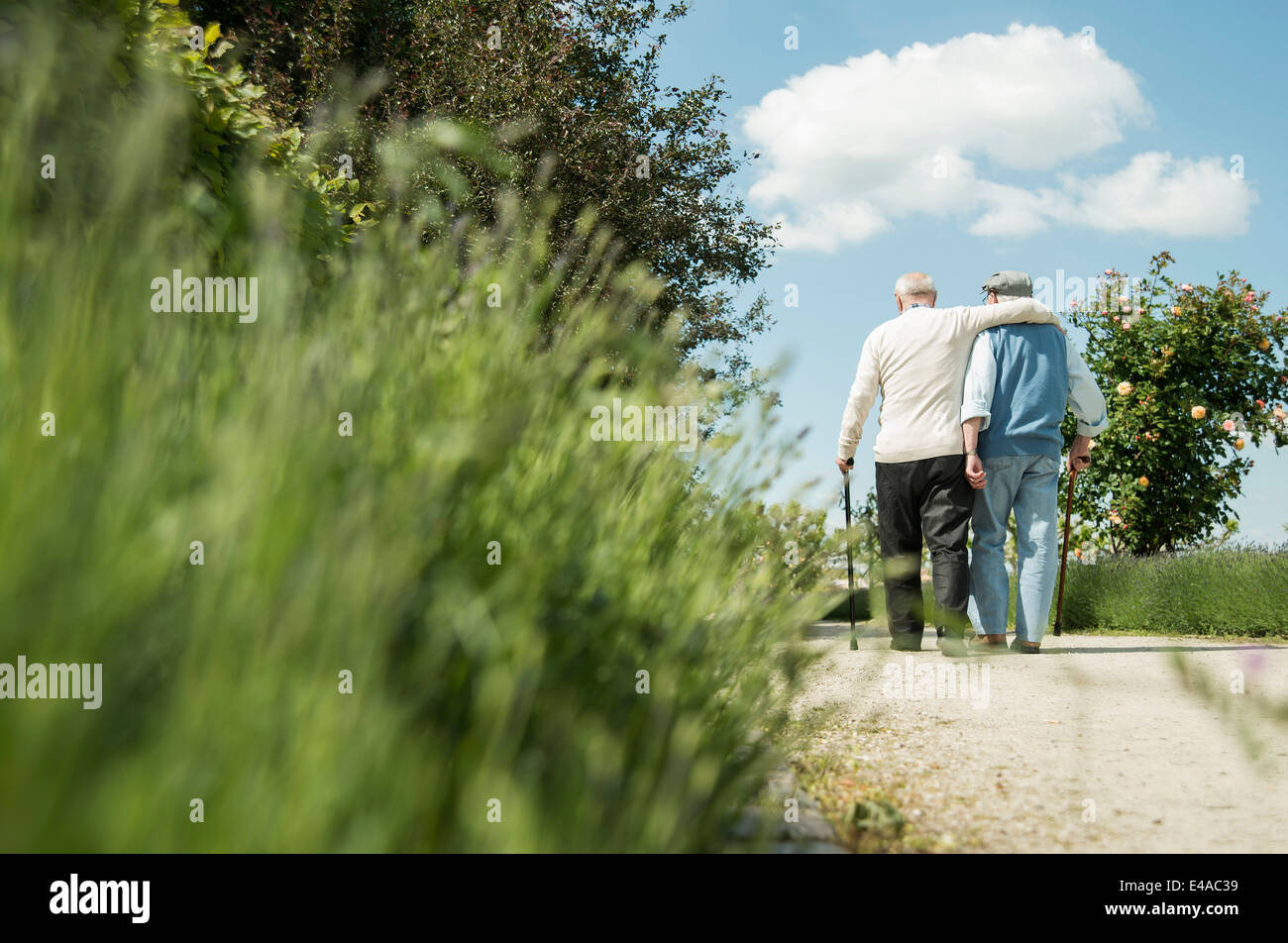 Zwei Alte Freunde Die In Den Park Gehen Stockfotos Und Bilder Kaufen Alamy 