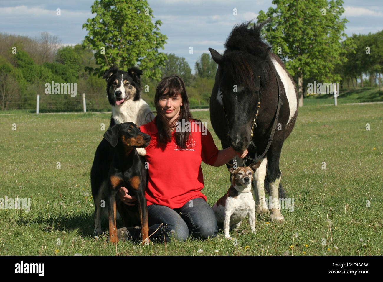 Tierfreunde Stockfoto