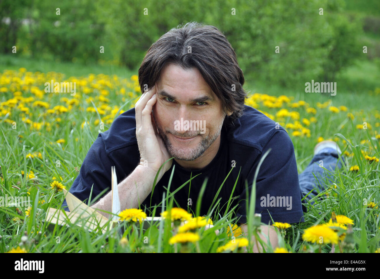 Mann liegen 40 Jahre lesen Buch lesen Löwenzahn Blumen Gedichte männliche junge süße Natur Sonne Rasen Park Prärie Sommerwiese entspannen v Stockfoto