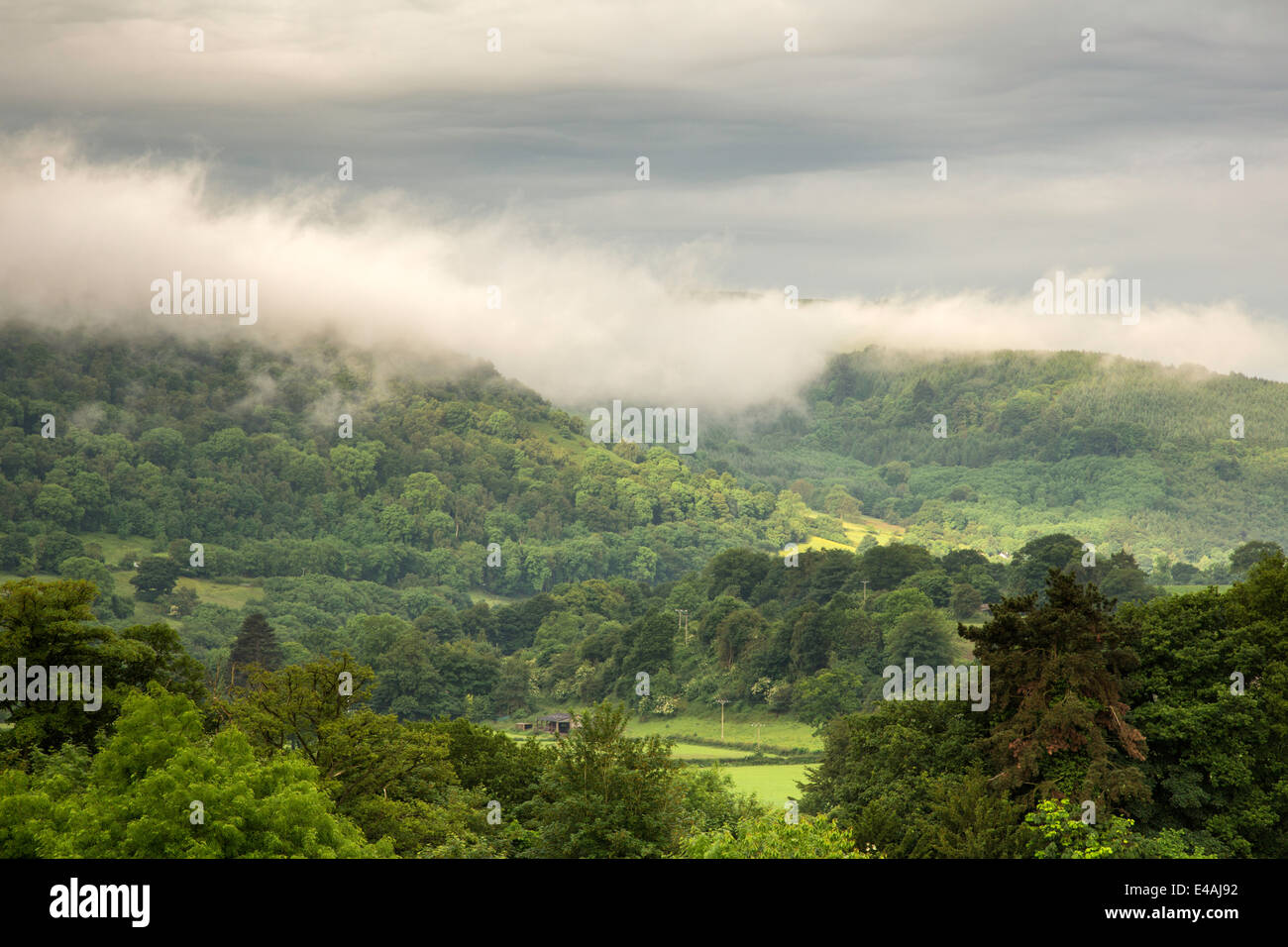 Morgennebel über dem Tal des Dee aus Pontcysyllte Aquädukt, Wales, Großbritannien Stockfoto