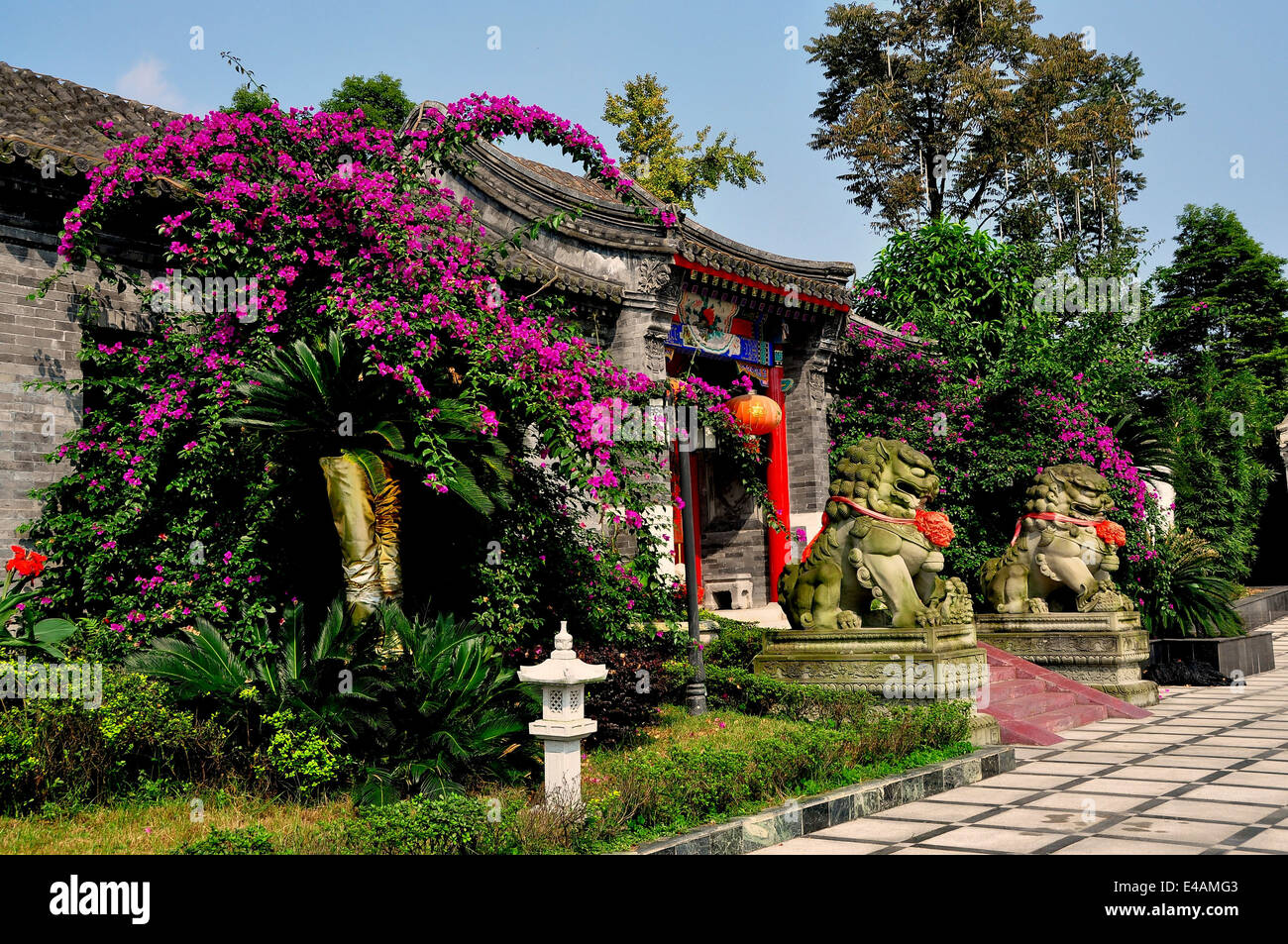 PENGZHOU, CHINA: Chinesische Statuen, rote Laternen mit Stein Ziegeldächern, zwei Wächter Fu Hund zu Hause und Bouginvilea Blumen lila Stockfoto