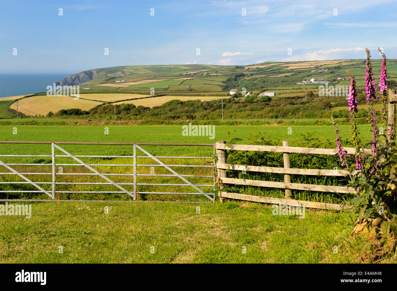 Hof und Felder in der Nähe von Newport, Süd-West Pembrokeshire, Wales, UK Stockfoto