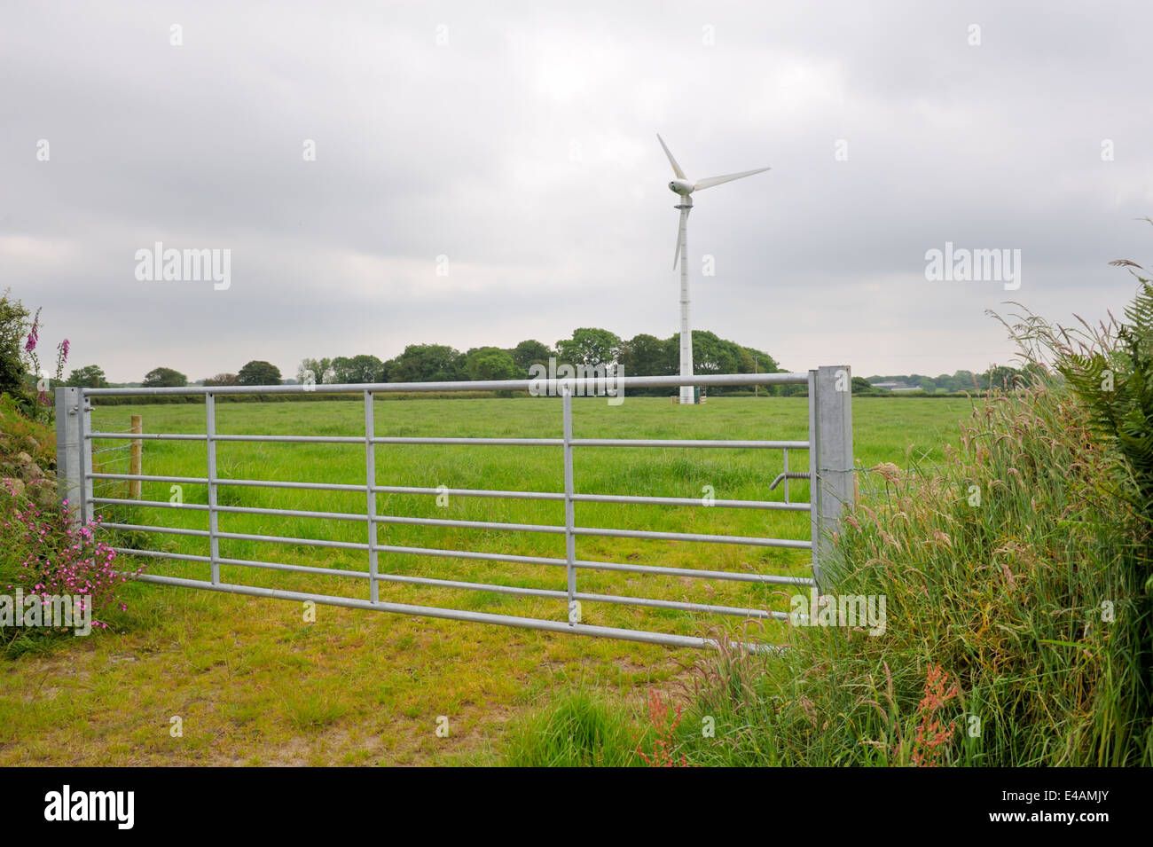 Einzelne Windturbine in der Mitte ein Bauern-Feld in der Nähe von Haverfordwest, Wales Stockfoto