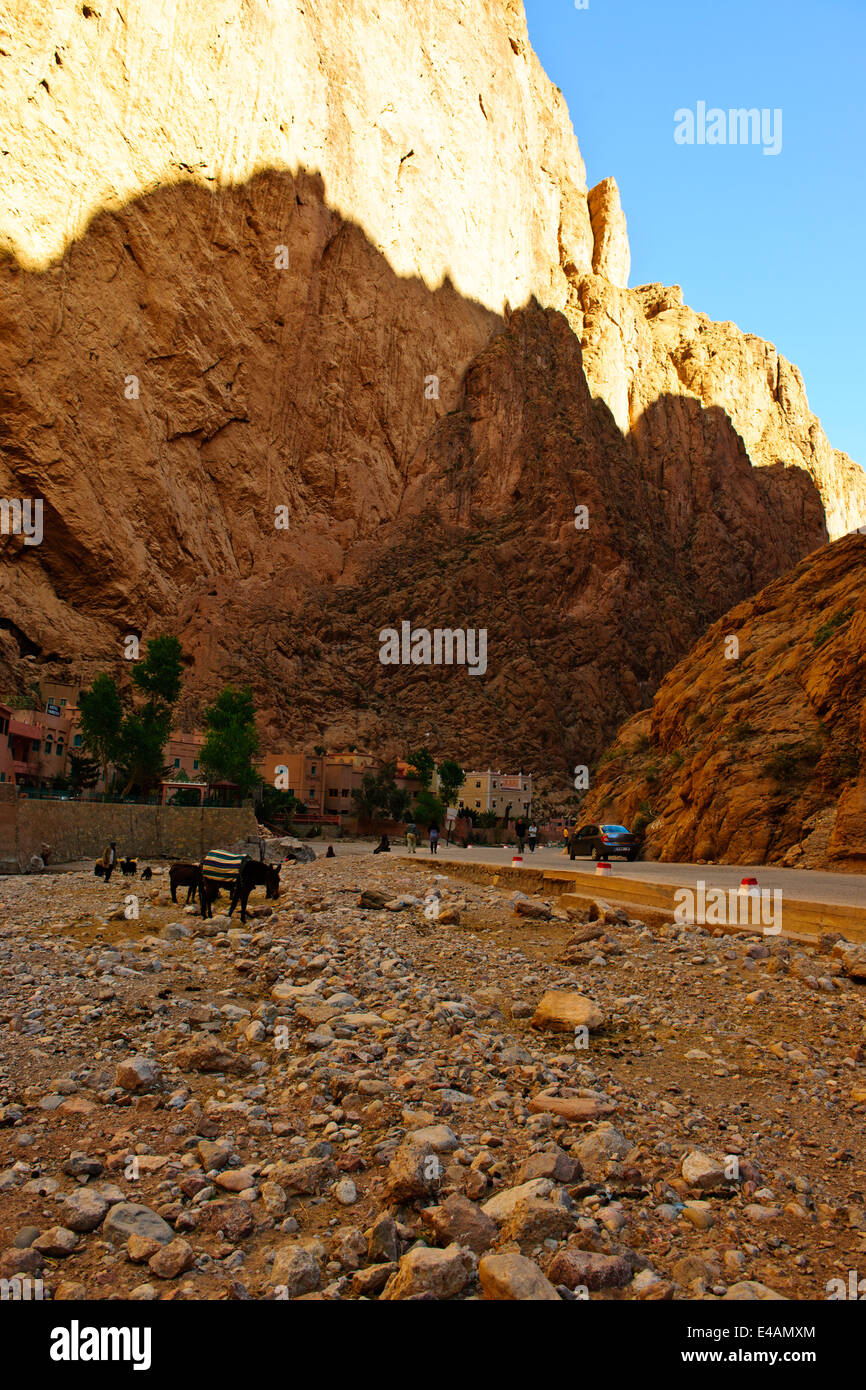 Aspekte der Todgha-Schlucht, gepflasterte Straße, Hotels, Wandern, Teppich Verkäufer, Fluss, 4 Rad-Antrieb, Wanderer, Kletterer, Steilklippen, Marokko Stockfoto